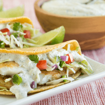 Fish Tacos with Cilantro Sauce