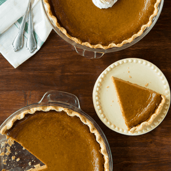 Elmer's Pumpkin Pie