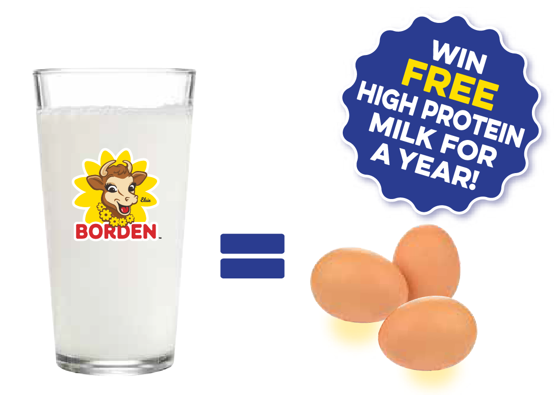 Borden High Protein Borden Dairy