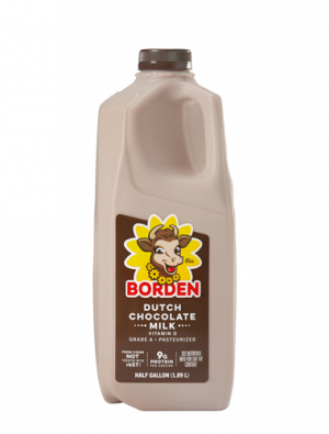 borden dutch chocolate milk