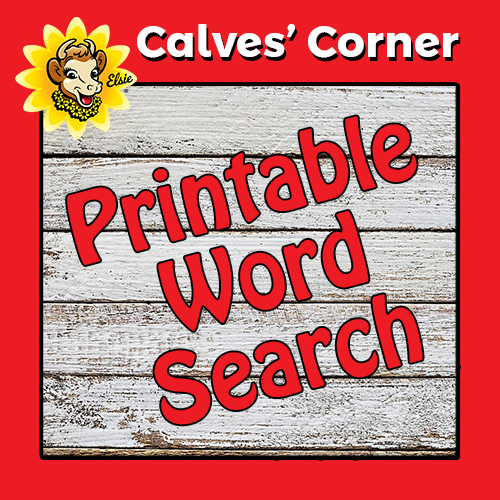 printable word search borden dairy