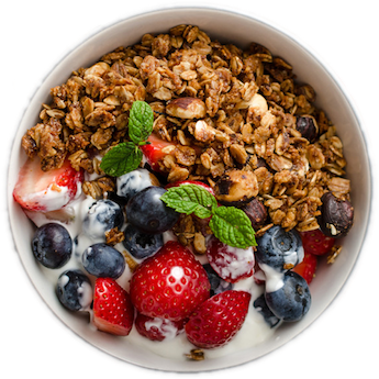 Elsie’s Homemade Low-Fat Granola